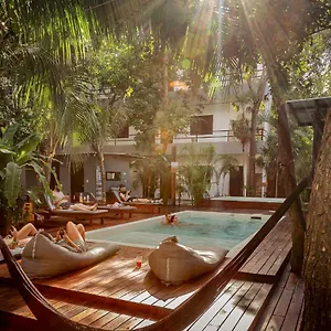  Auberge de jeunesse Che & Bar Adults Only Mexique
